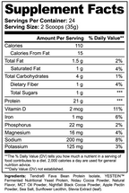 Euphoric Plant Base Protein (Chocolate)